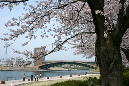 f:id:inoue1024:20090408225921j:image f:id:inoue1024:20090408225921j:image