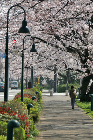 f:id:inoue1024:20090408230147j:image f:id:inoue1024:20090408230147j:image