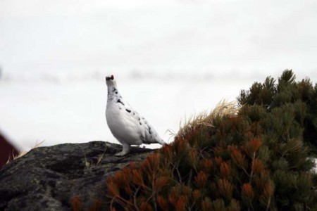 f:id:inoue1024:20090420093011j:image f:id:inoue1024:20090420093011j:image