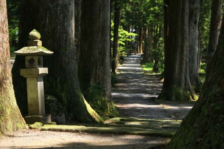 f:id:inoue1024:20090623174545j:image f:id:inoue1024:20090623174545j:image