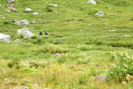 f:id:inoue1024:20090623182402j:image f:id:inoue1024:20090623182402j:image