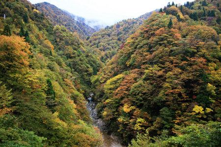 f:id:inoue1024:20091027113347j:image