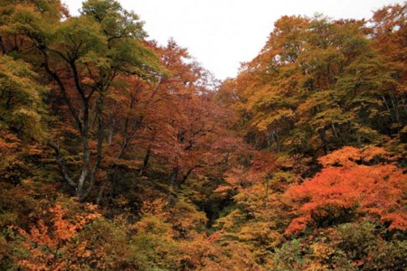 f:id:inoue1024:20091027135258j:image