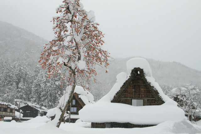 f:id:inoue1024:20091221232156j:image f:id:inoue1024:20091221232156j:image