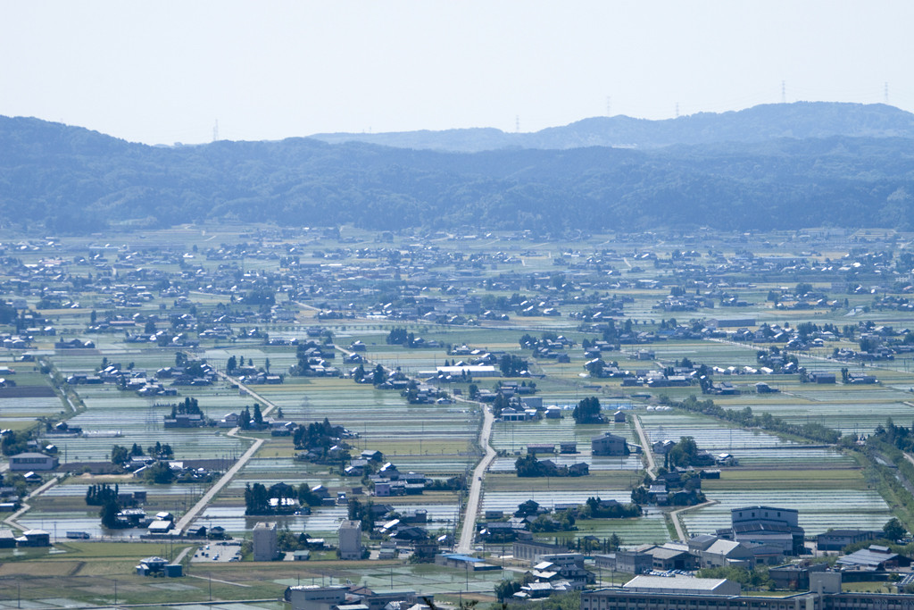 f:id:inoue1024:20100531142515j:image f:id:inoue1024:20100531142515j:image