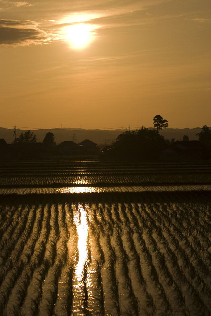 f:id:inoue1024:20100531185429j:image f:id:inoue1024:20100531185429j:image