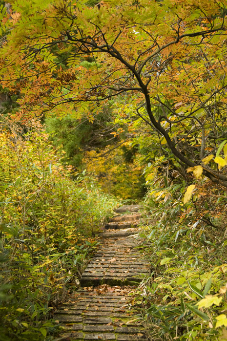 f:id:inoue1024:20101019085059j:image f:id:inoue1024:20101019085059j:image