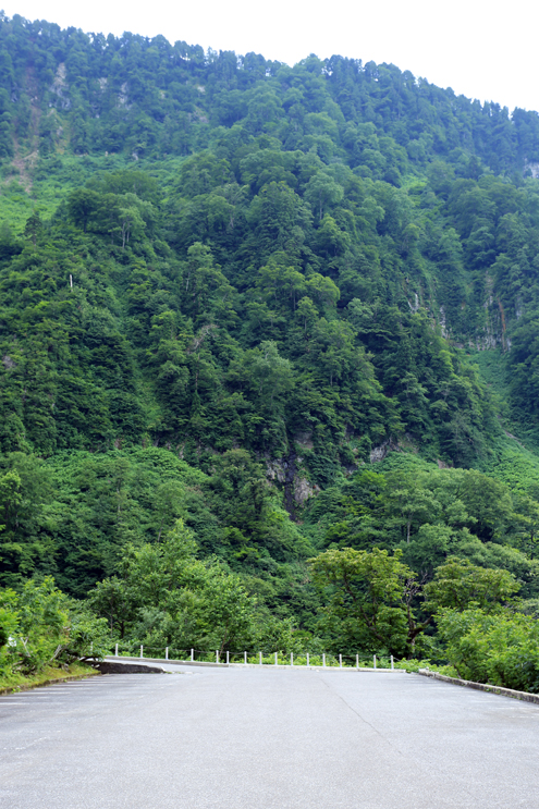 f:id:inoue1024:20120720203015j:image f:id:inoue1024:20120720203015j:image