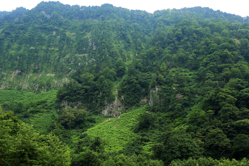 f:id:inoue1024:20120720203023j:image f:id:inoue1024:20120720203023j:image