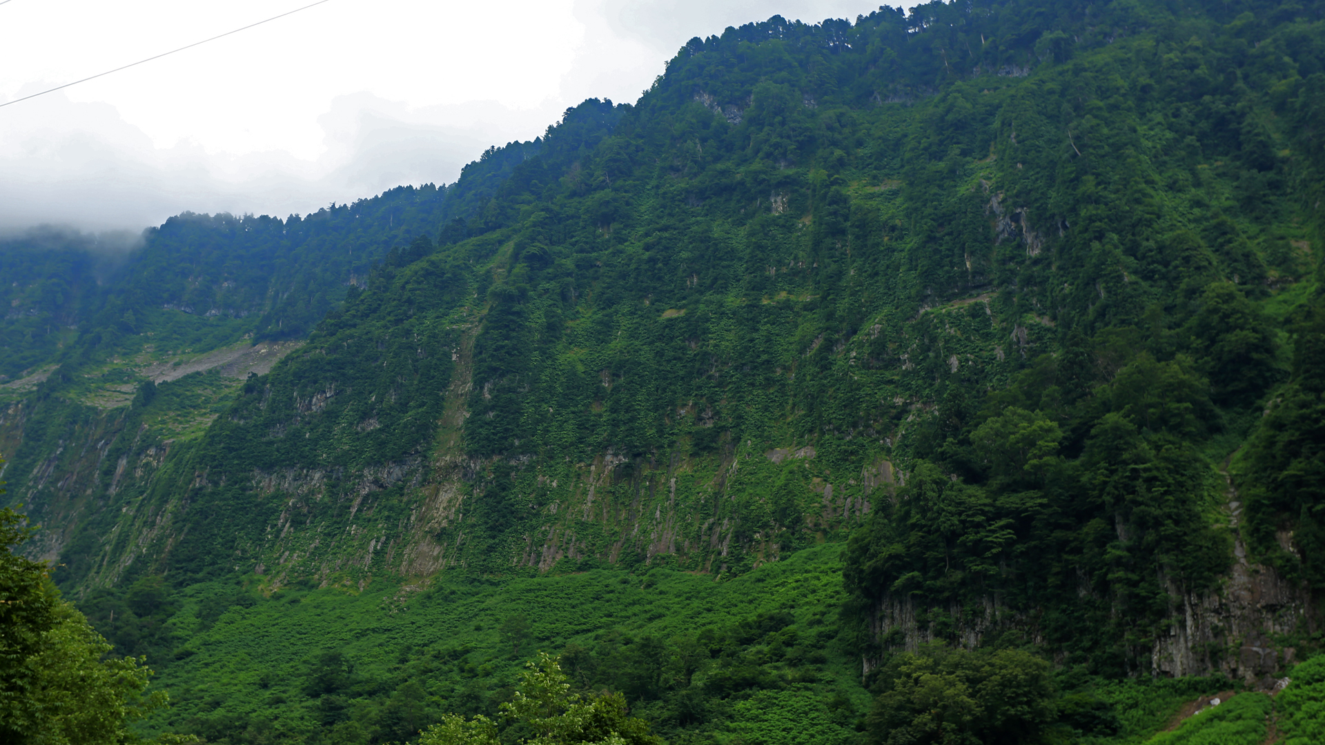 f:id:inoue1024:20120720203024j:image f:id:inoue1024:20120720203024j:image