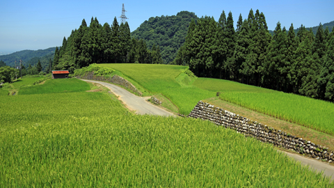 f:id:inoue1024:20120803210327j:image f:id:inoue1024:20120803210327j:image