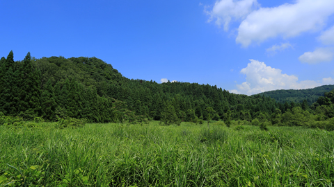 f:id:inoue1024:20120803210333j:image f:id:inoue1024:20120803210333j:image