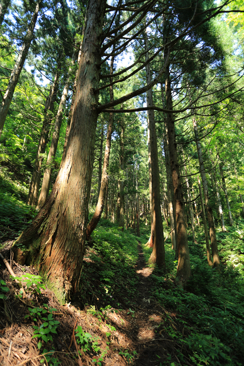 f:id:inoue1024:20120803210334j:image f:id:inoue1024:20120803210334j:image