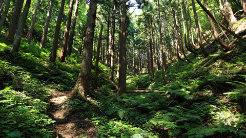 f:id:inoue1024:20120803210339j:image