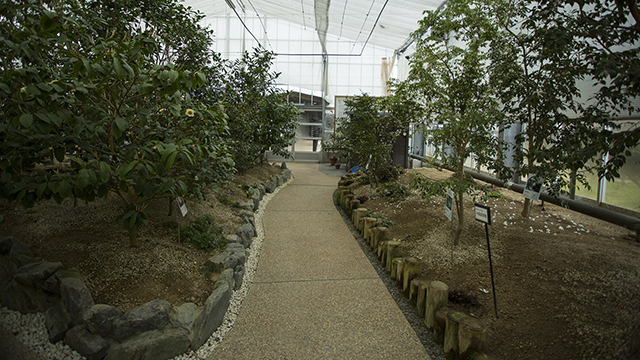 f:id:inoue1024:20130329175404j:image f:id:inoue1024:20130329175404j:image