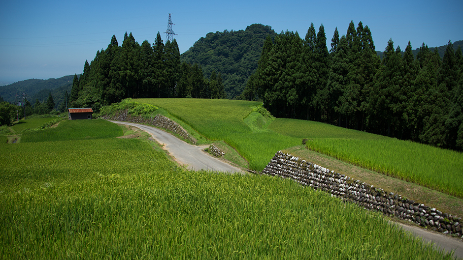 f:id:inoue1024:20130716220850j:image