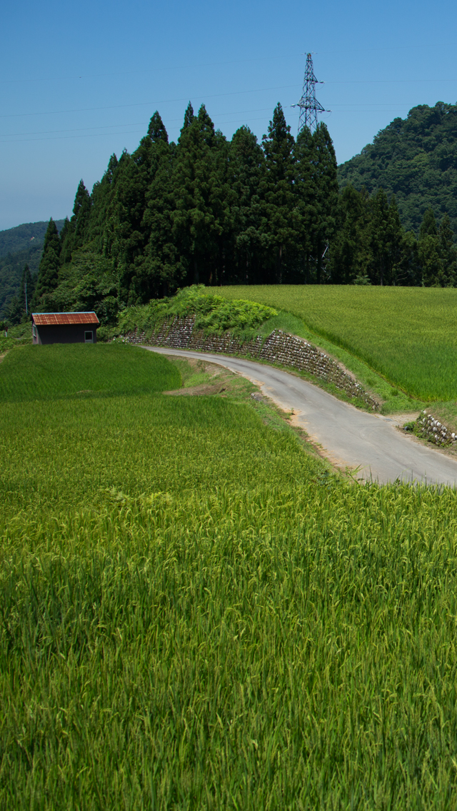 f:id:inoue1024:20130716220851j:image