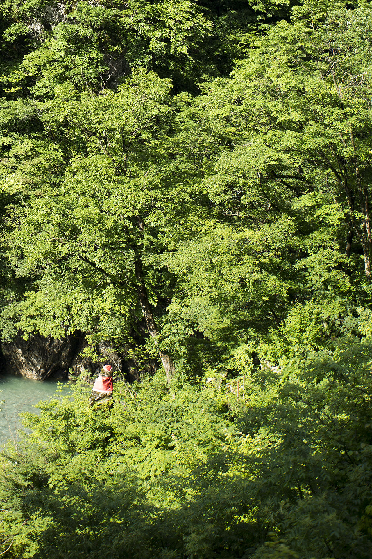 f:id:inoue1024:20140729182055j:image f:id:inoue1024:20140729182055j:image