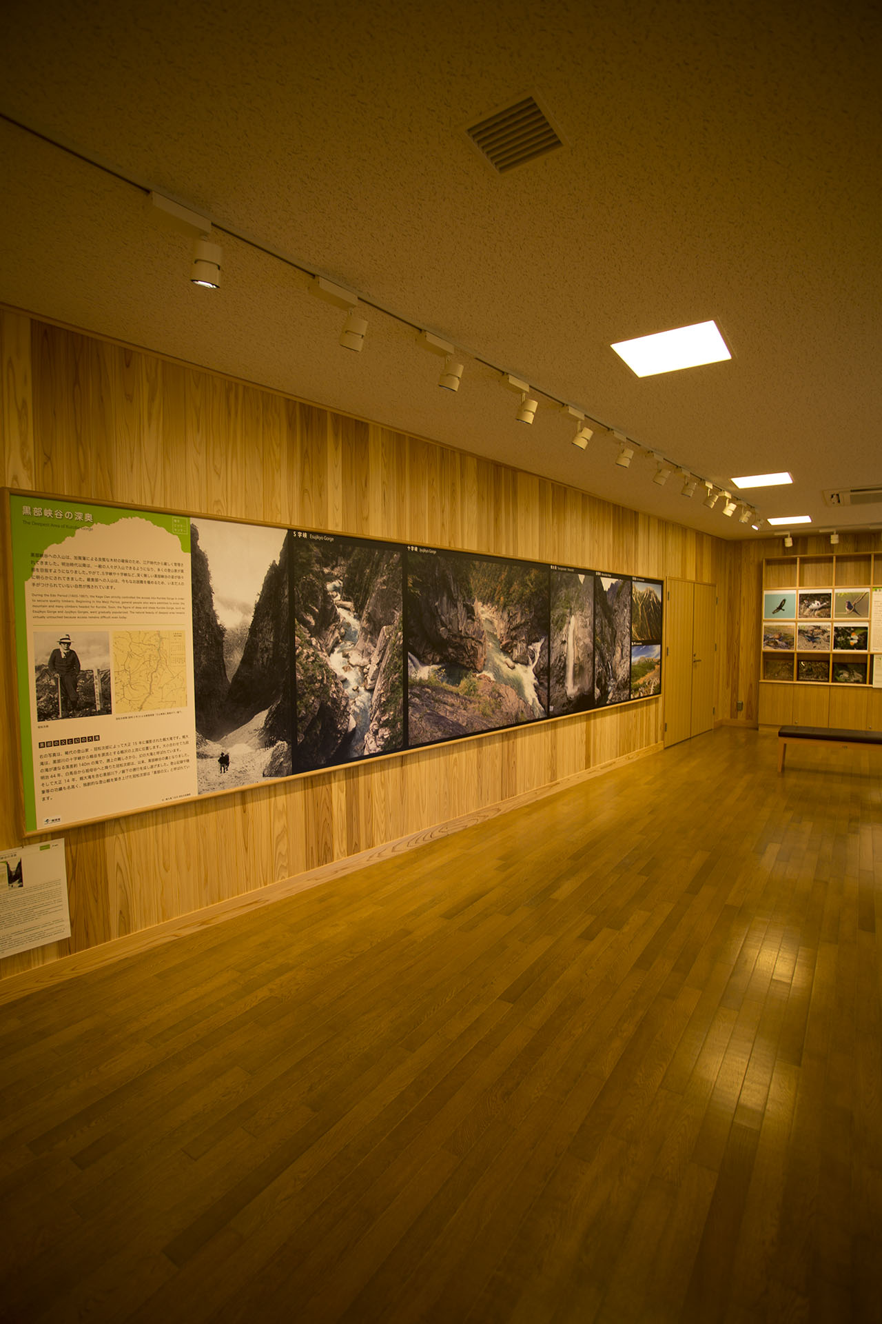 f:id:inoue1024:20140729182108j:image f:id:inoue1024:20140729182108j:image