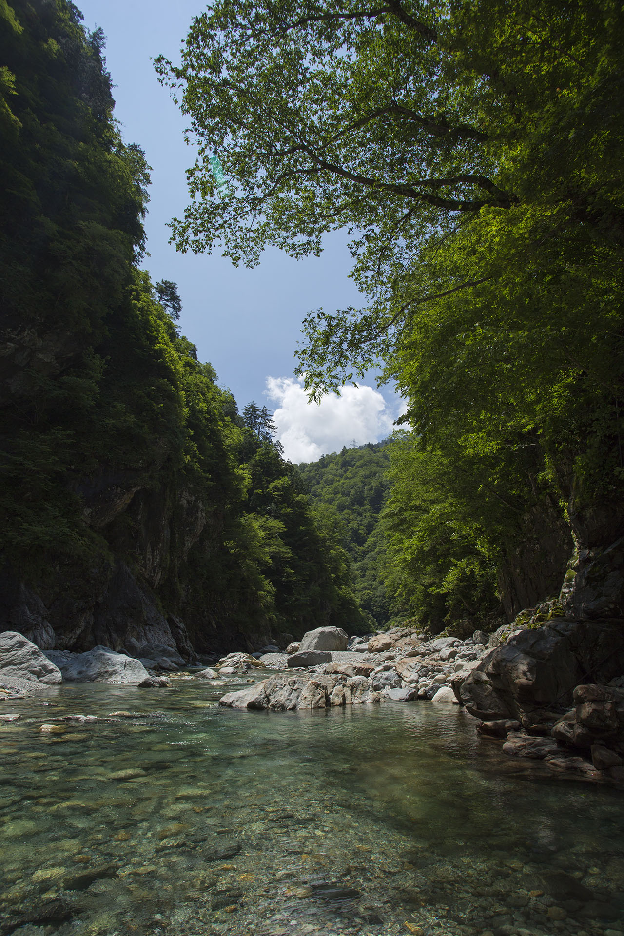 f:id:inoue1024:20140729182114j:image f:id:inoue1024:20140729182114j:image