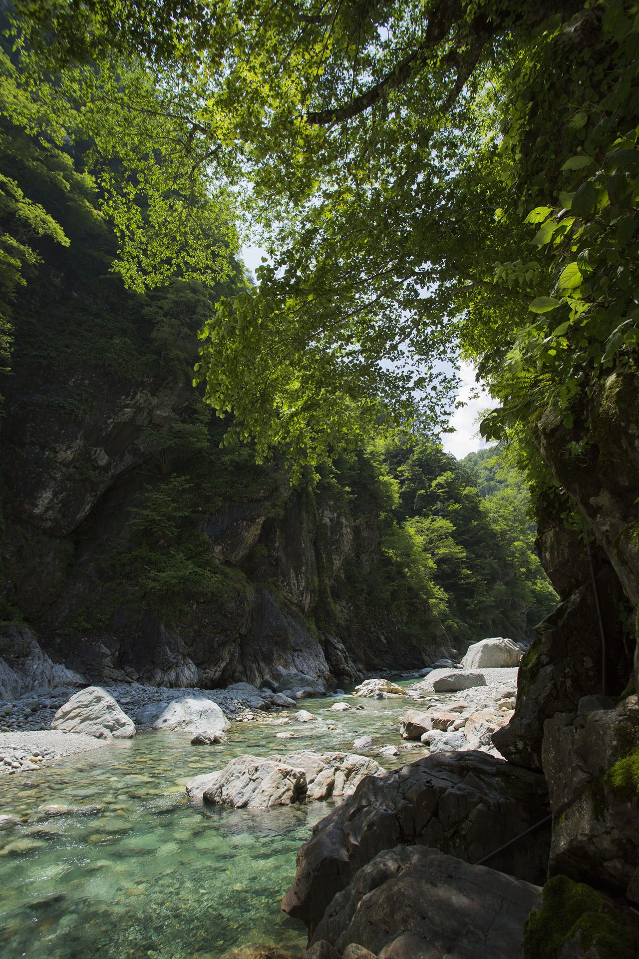 f:id:inoue1024:20140729182116j:image f:id:inoue1024:20140729182116j:image