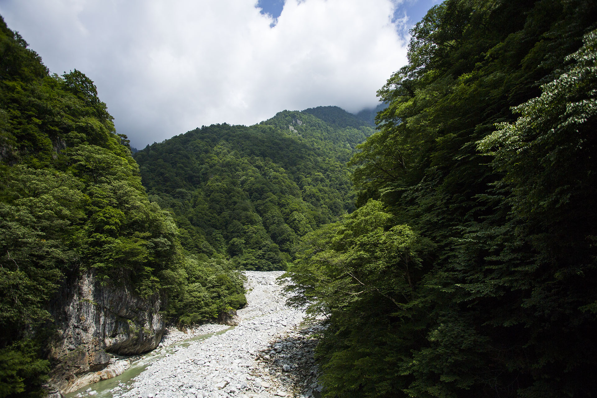 f:id:inoue1024:20140729182127j:image f:id:inoue1024:20140729182127j:image