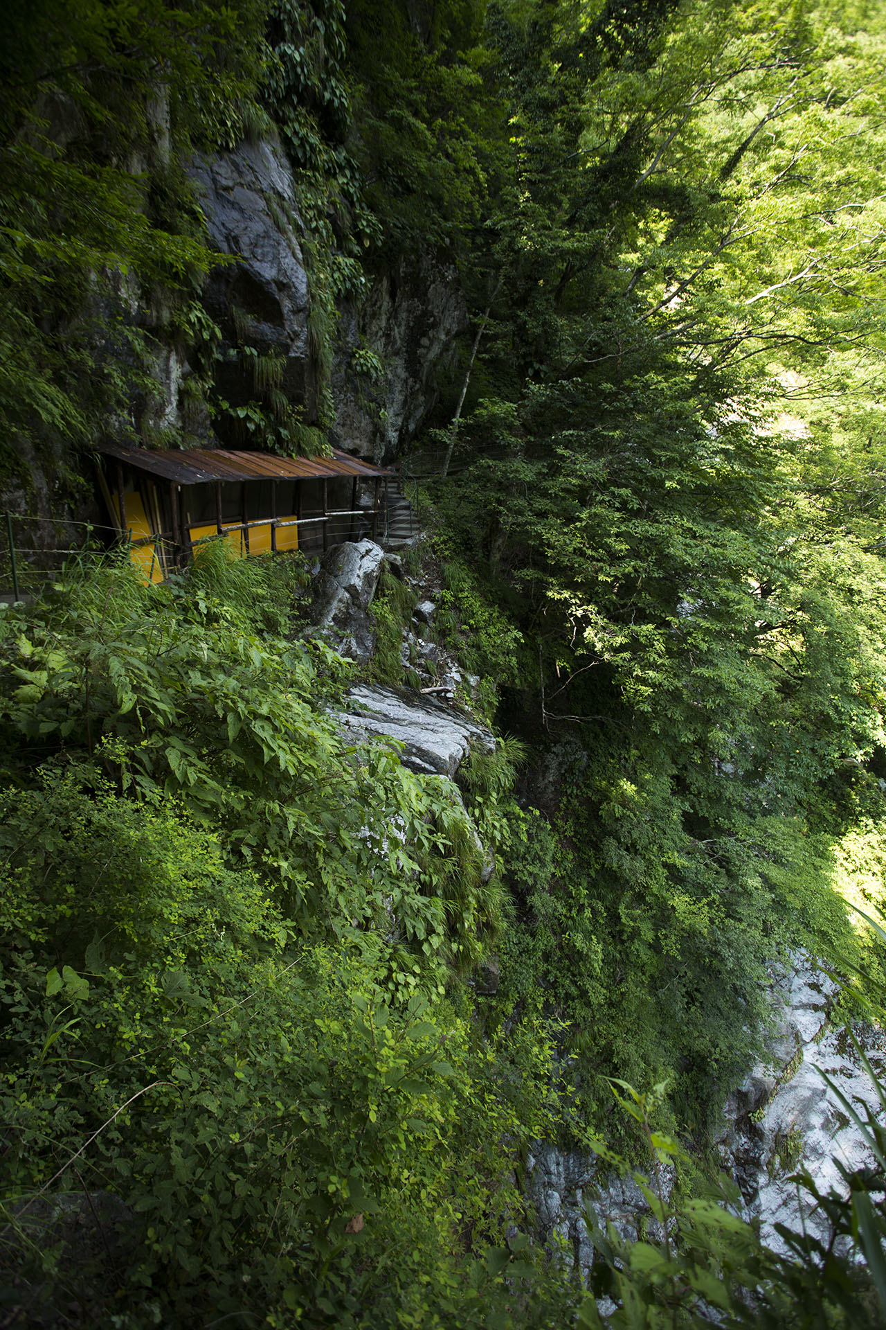 f:id:inoue1024:20140729182137j:image f:id:inoue1024:20140729182137j:image