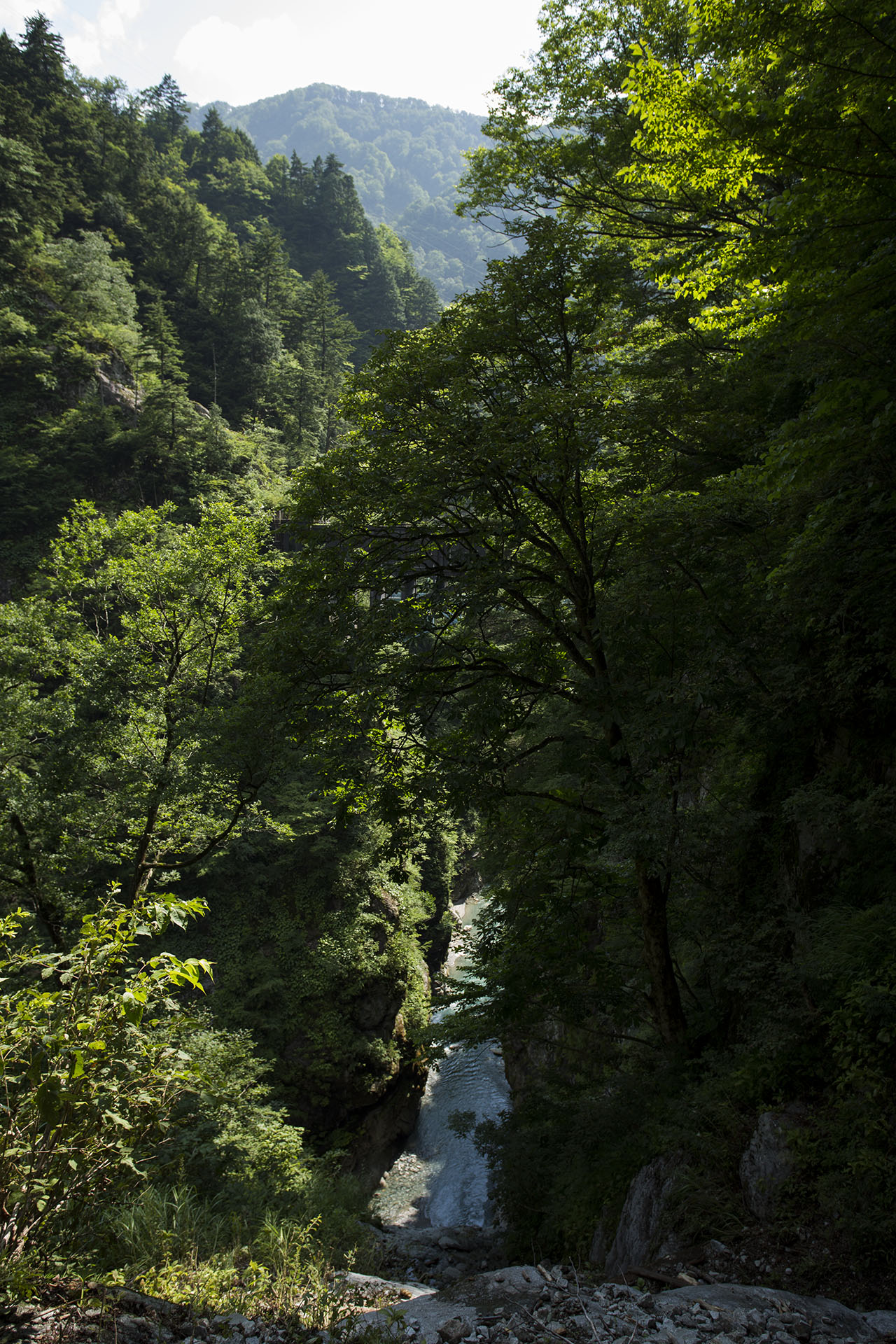 f:id:inoue1024:20140729182140j:image f:id:inoue1024:20140729182140j:image