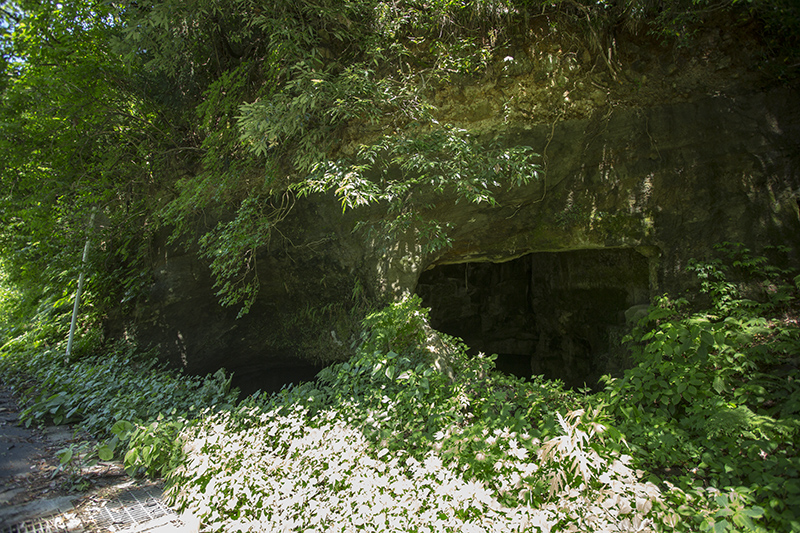 f:id:inoue1024:20150611220922j:image f:id:inoue1024:20150611220922j:image
