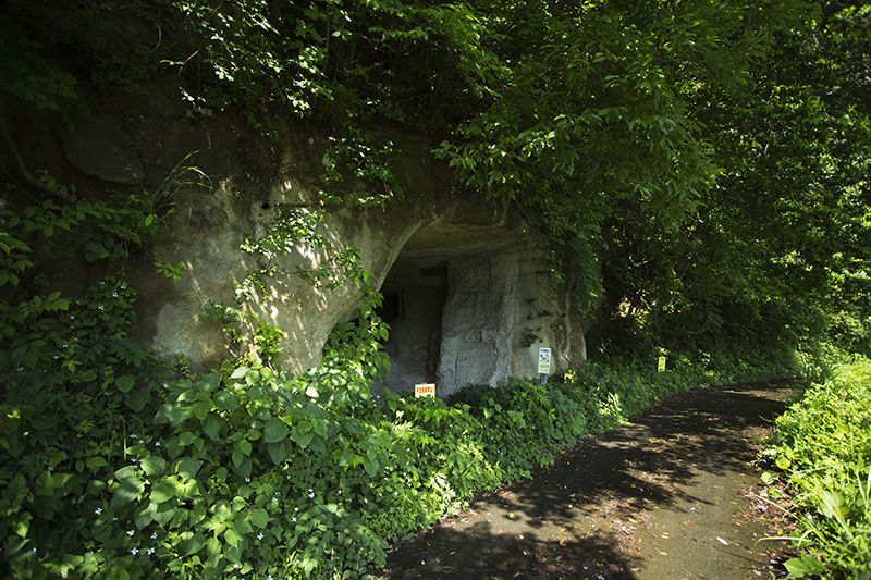 f:id:inoue1024:20150611220928j:image f:id:inoue1024:20150611220928j:image