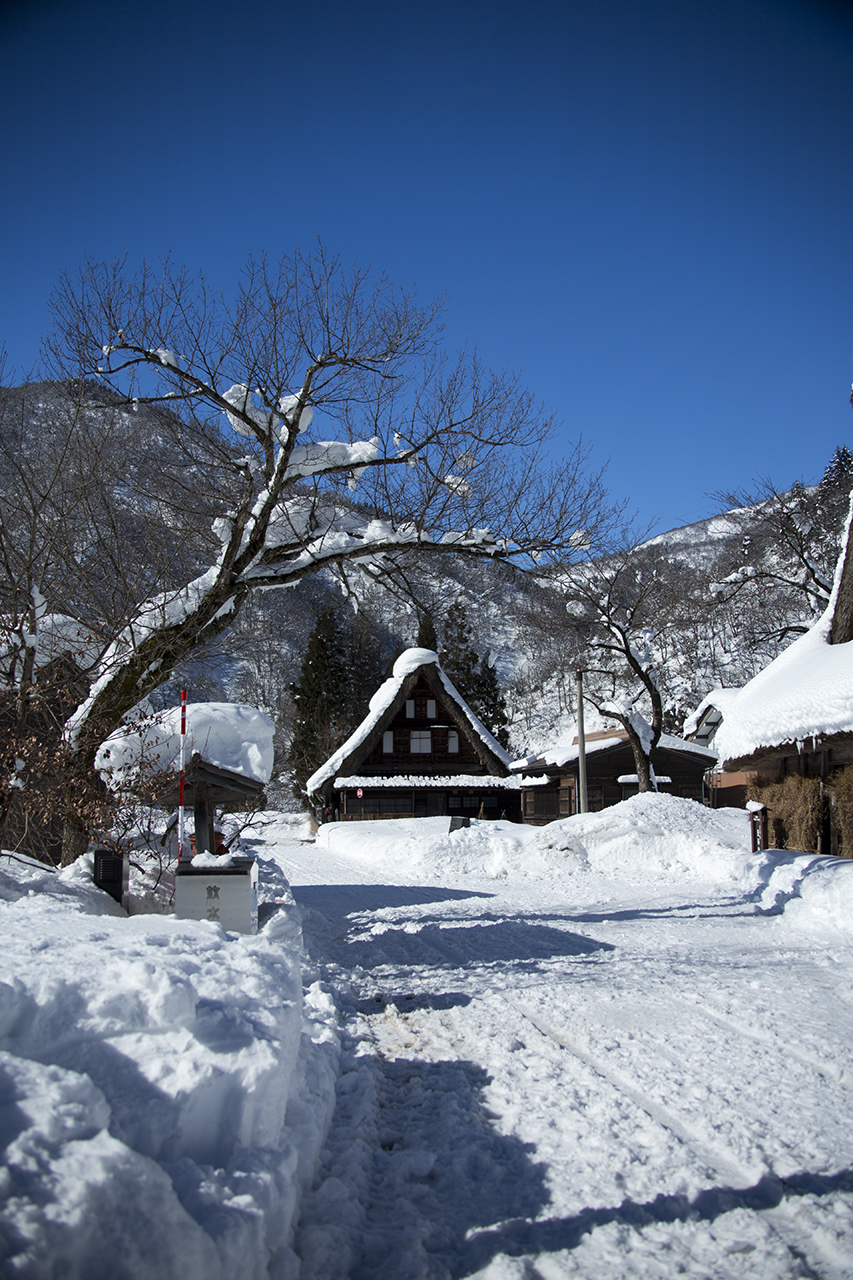 f:id:inoue1024:20160205211619j:image f:id:inoue1024:20160205211619j:image