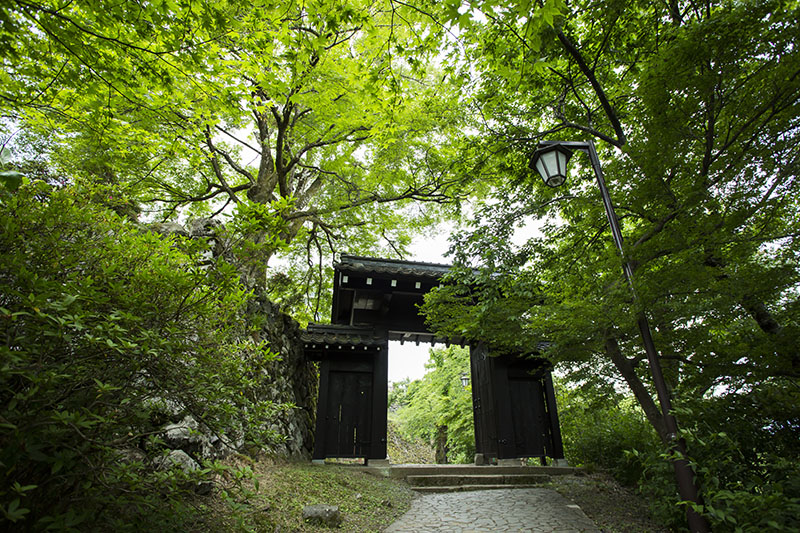 f:id:inoue1024:20160729152754j:image