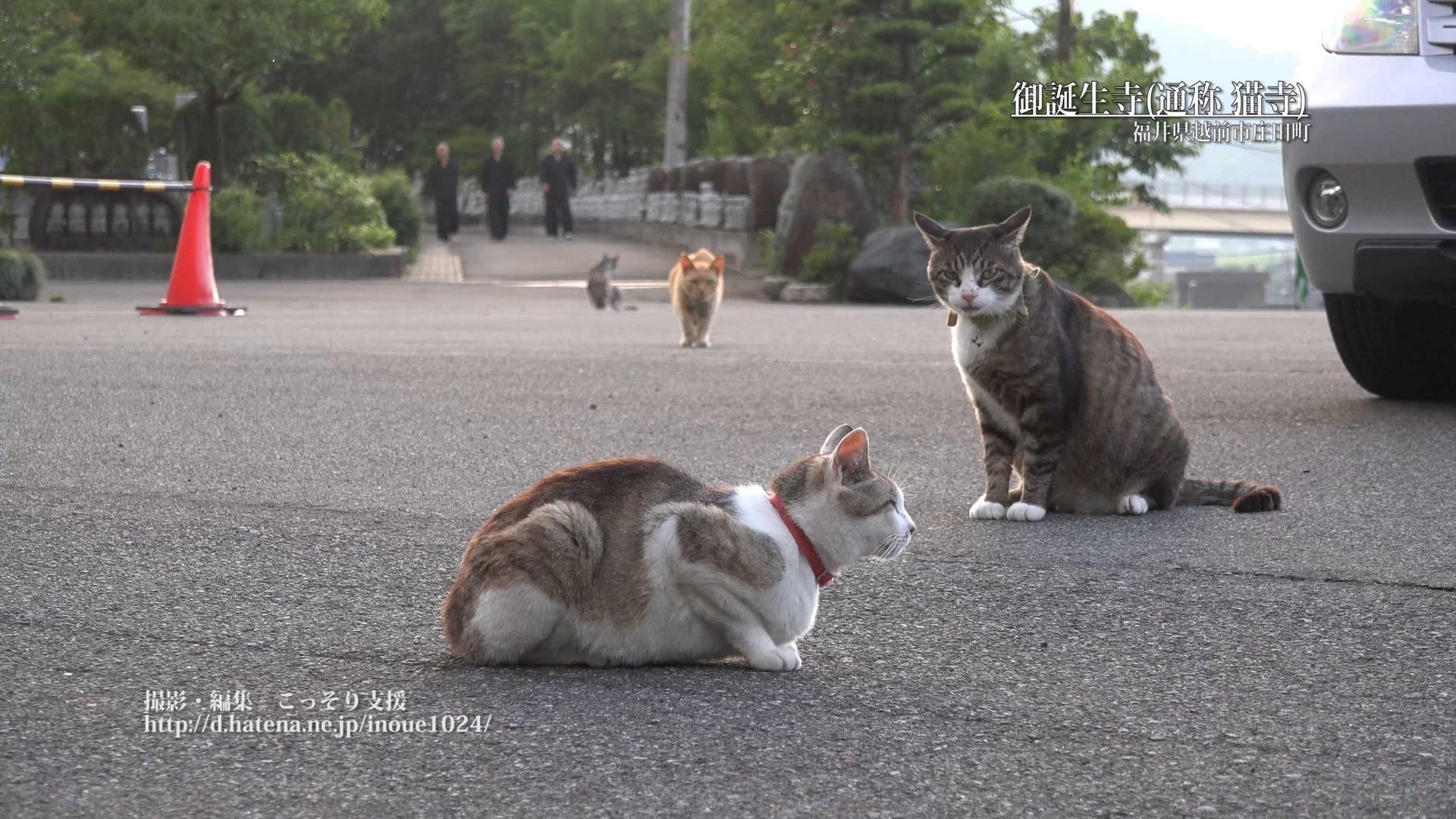 f:id:inoue1024:20160729152801j:image