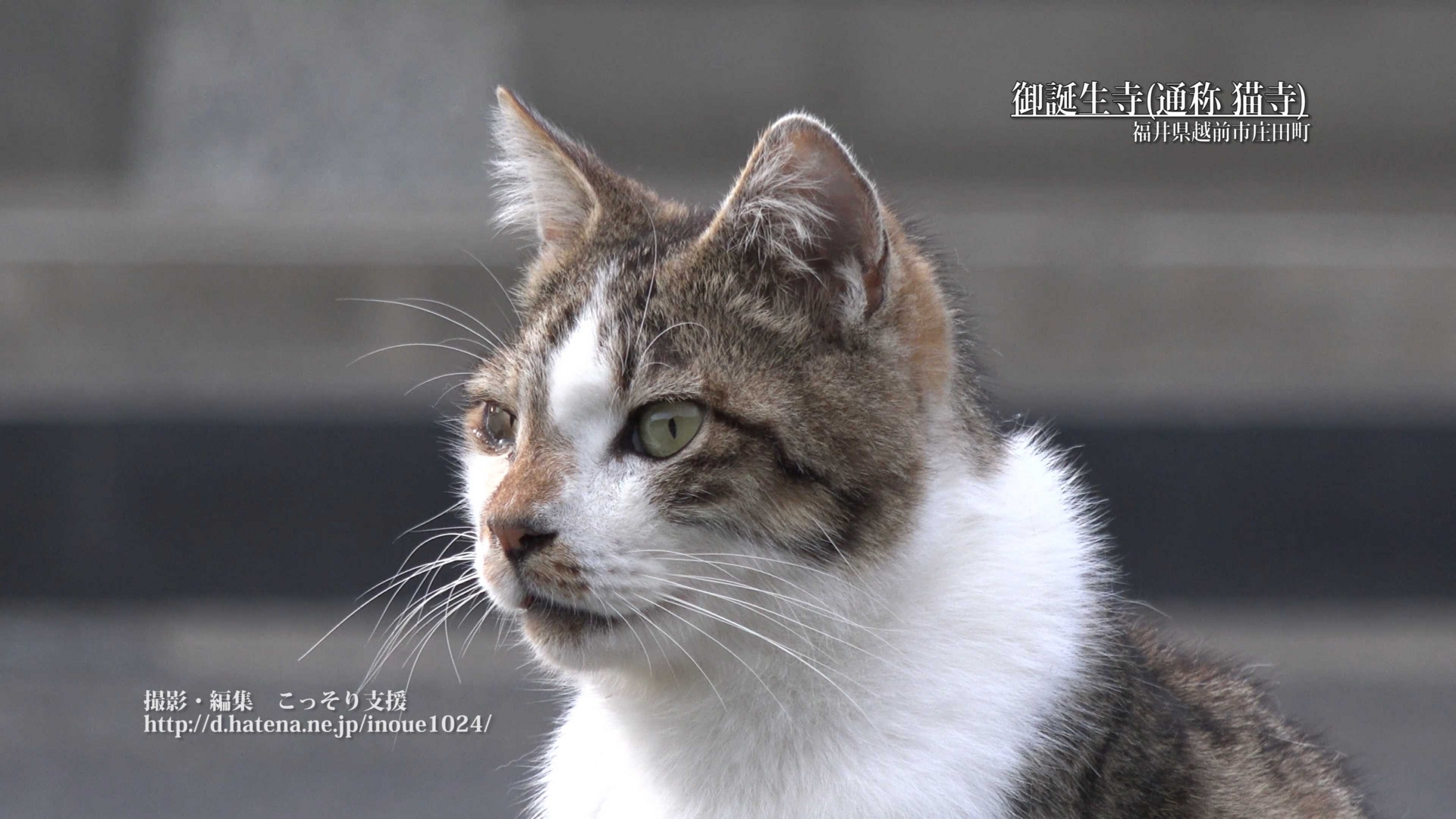 f:id:inoue1024:20160729152802j:image