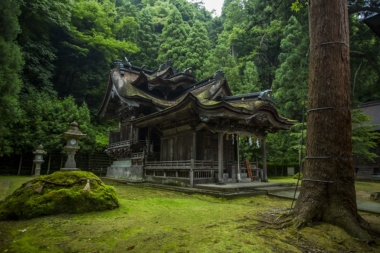 越前市・紙祖神 岡太神社・大滝神社 こっそり支援