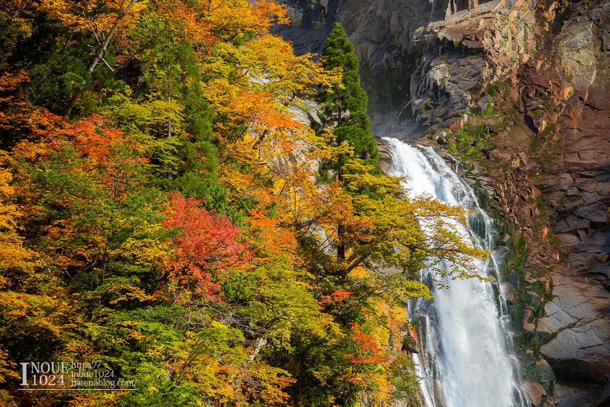 f:id:inoue1024:20190926073433j:plain