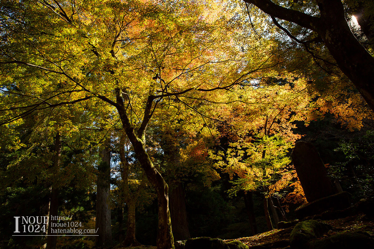 f:id:inoue1024:20190926073551j:plain