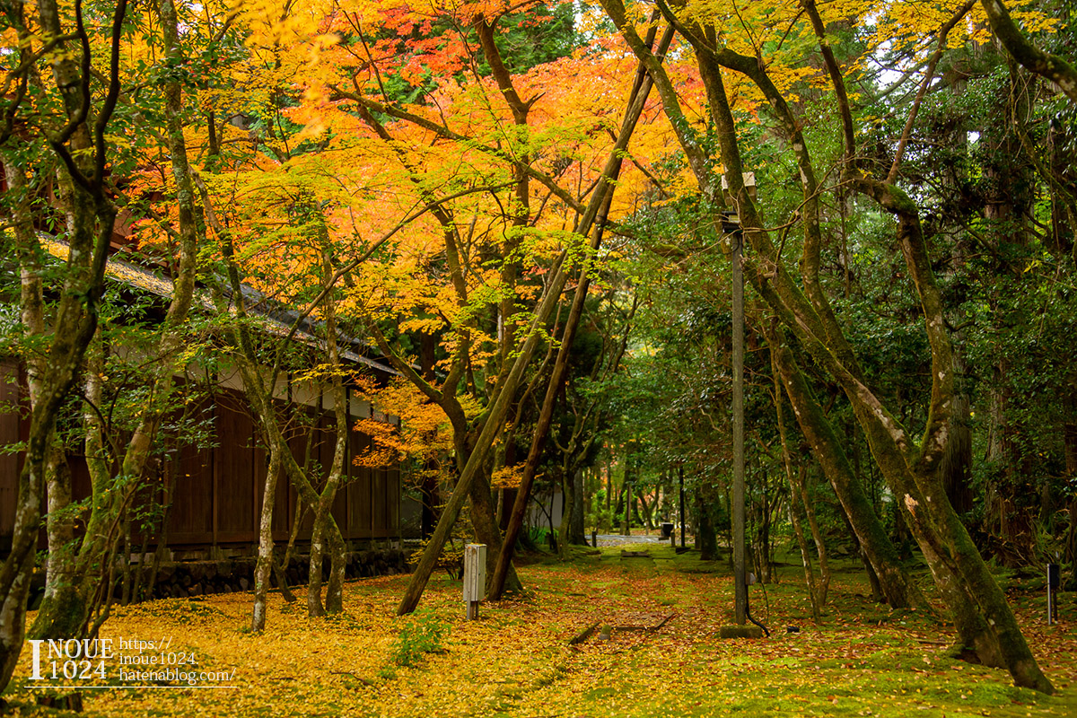 f:id:inoue1024:20190926073612j:plain