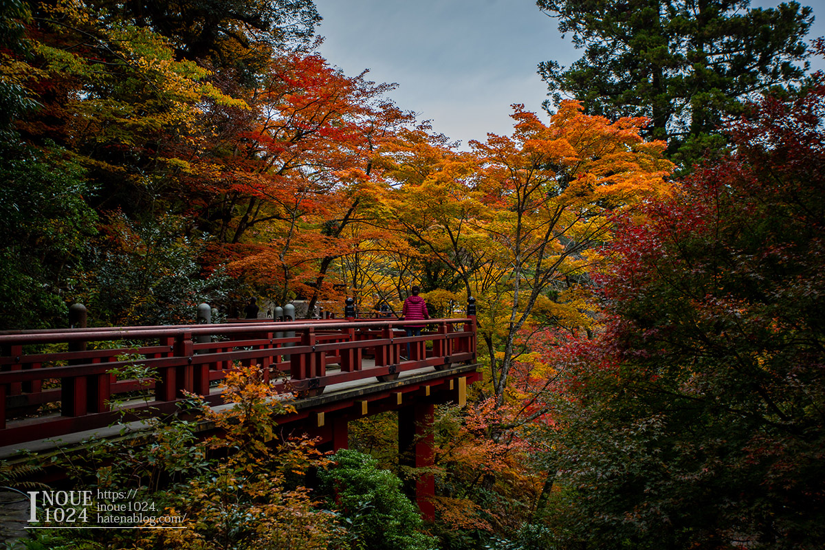 f:id:inoue1024:20190926073625j:plain