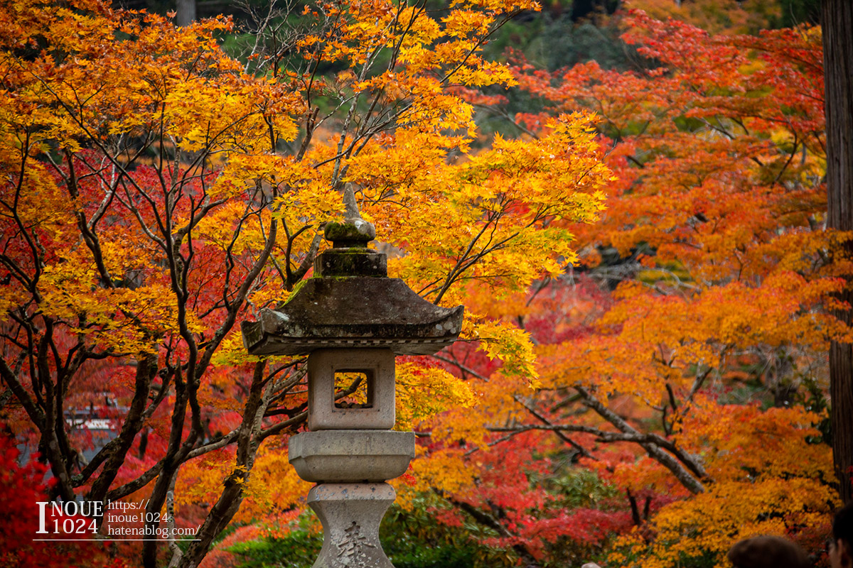 f:id:inoue1024:20190926073629j:plain