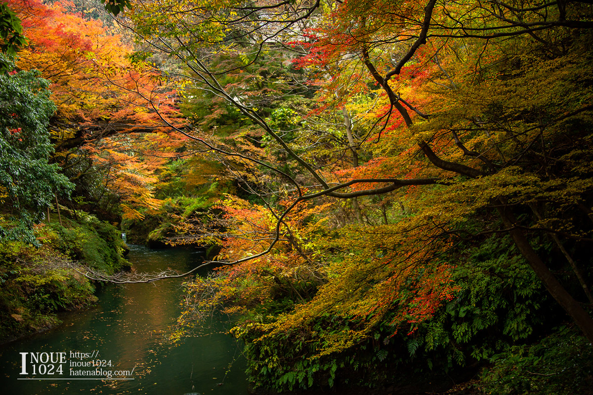 f:id:inoue1024:20190926073635j:plain