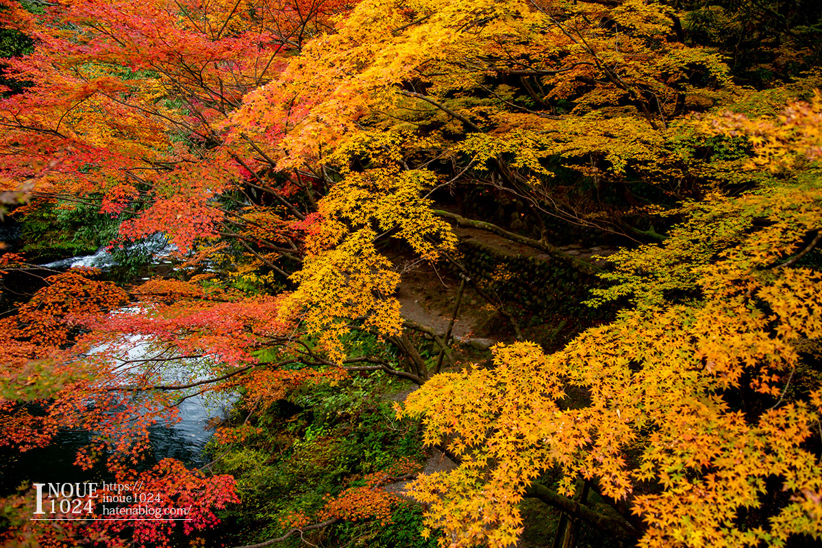 f:id:inoue1024:20190926073639j:plain