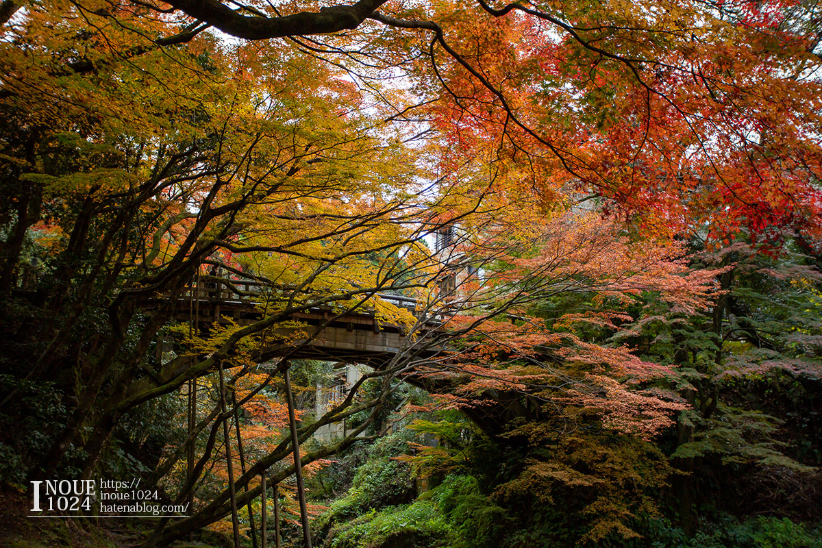 f:id:inoue1024:20190926073643j:plain