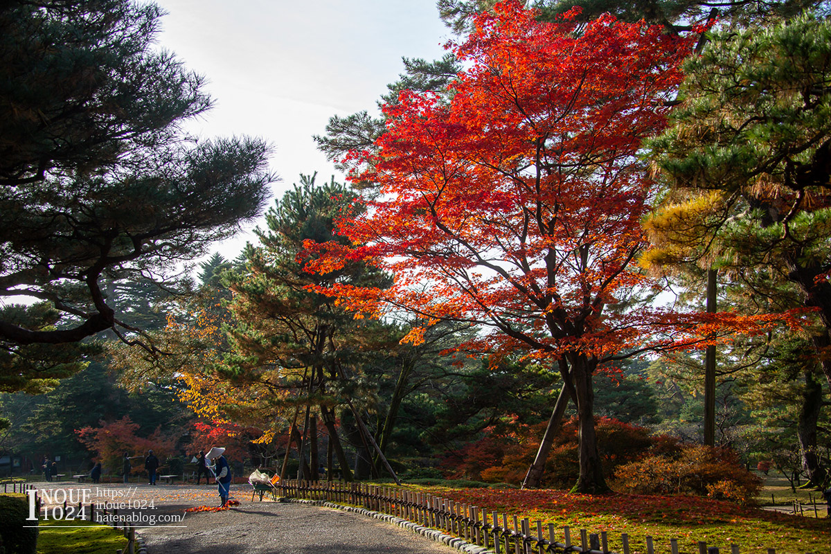 f:id:inoue1024:20190926073656j:plain