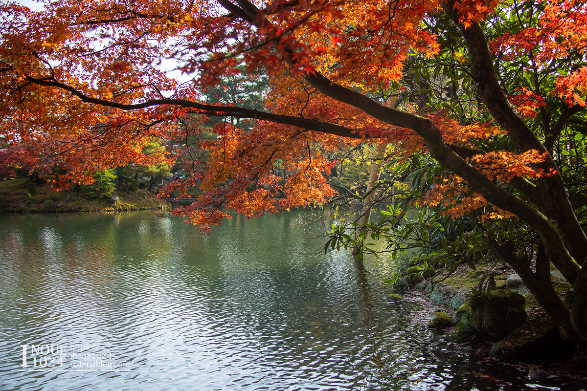 f:id:inoue1024:20190926073705j:plain