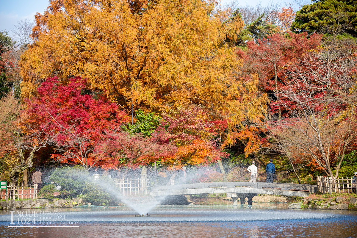 f:id:inoue1024:20190926073719j:plain