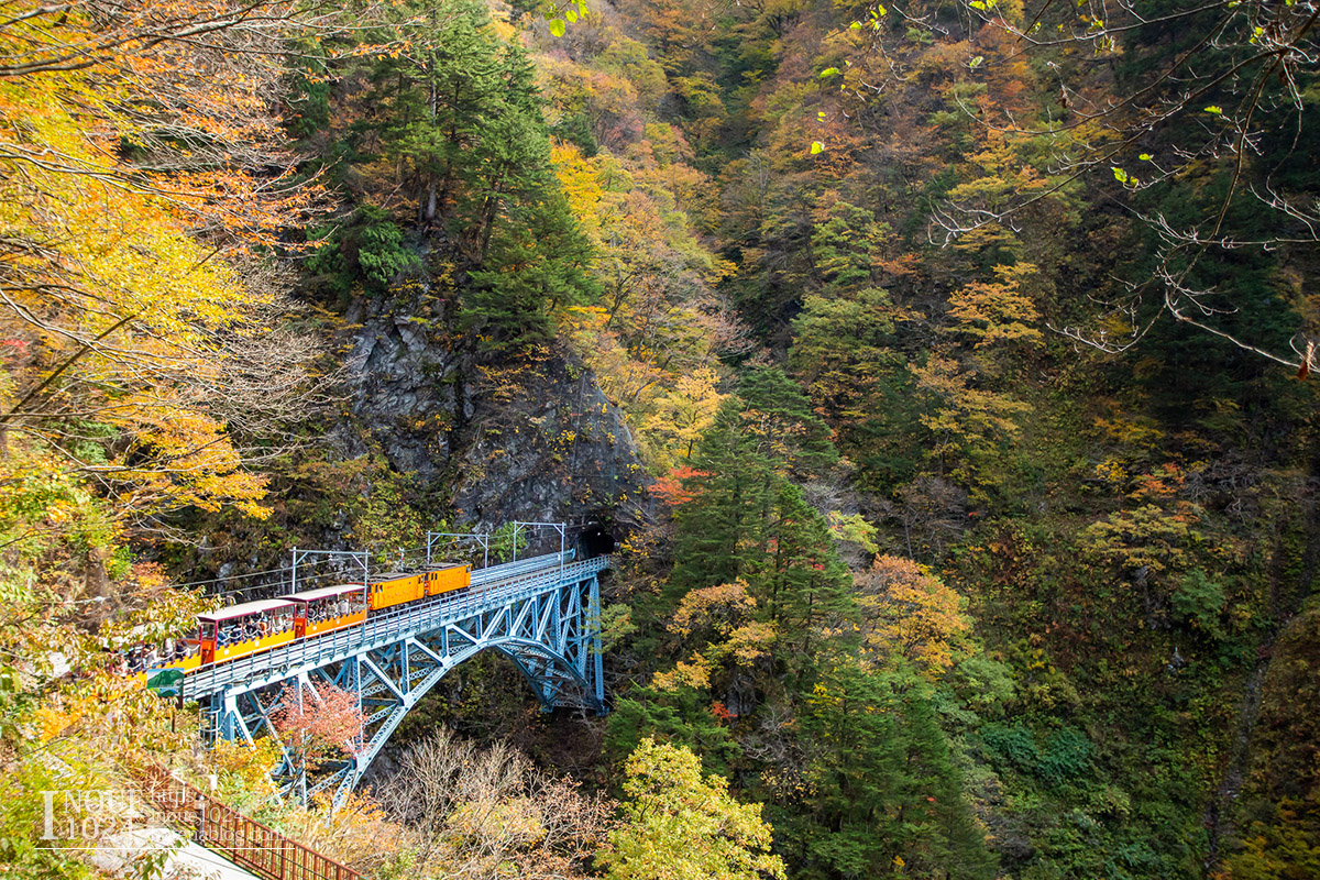 f:id:inoue1024:20190926073728j:plain