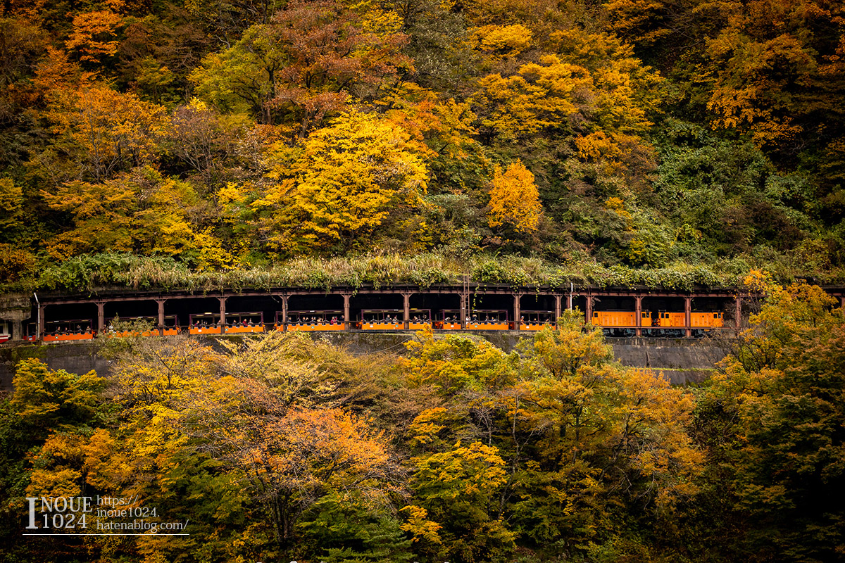 f:id:inoue1024:20190926073737j:plain