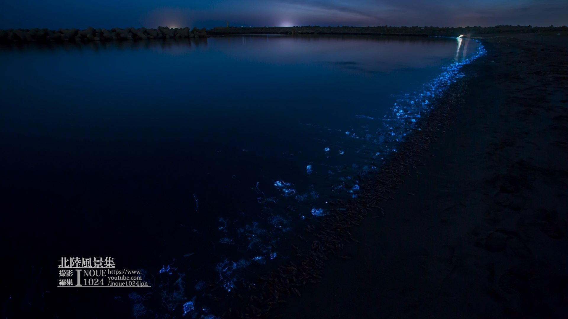 f:id:inoue1024:20200312003951j:plain