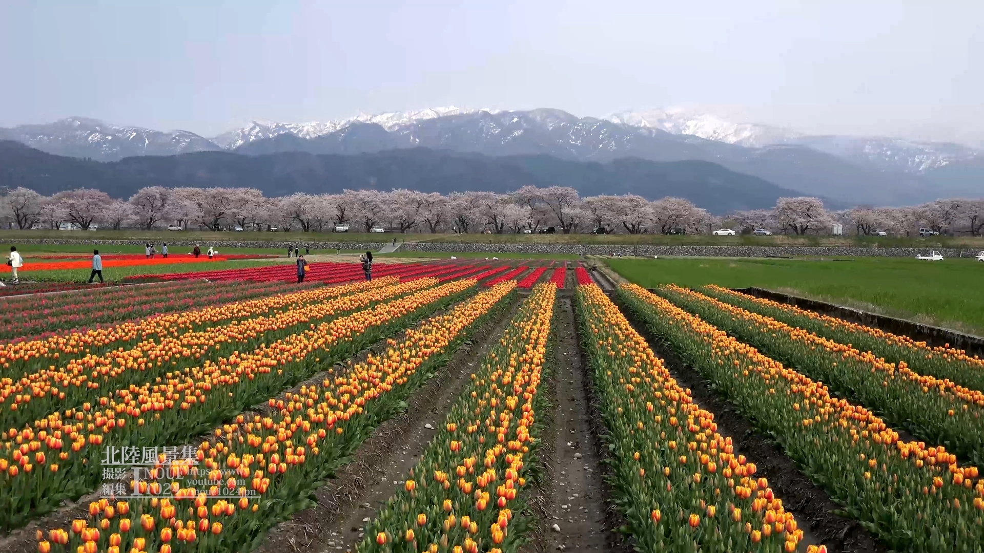 f:id:inoue1024:20200312004136j:plain